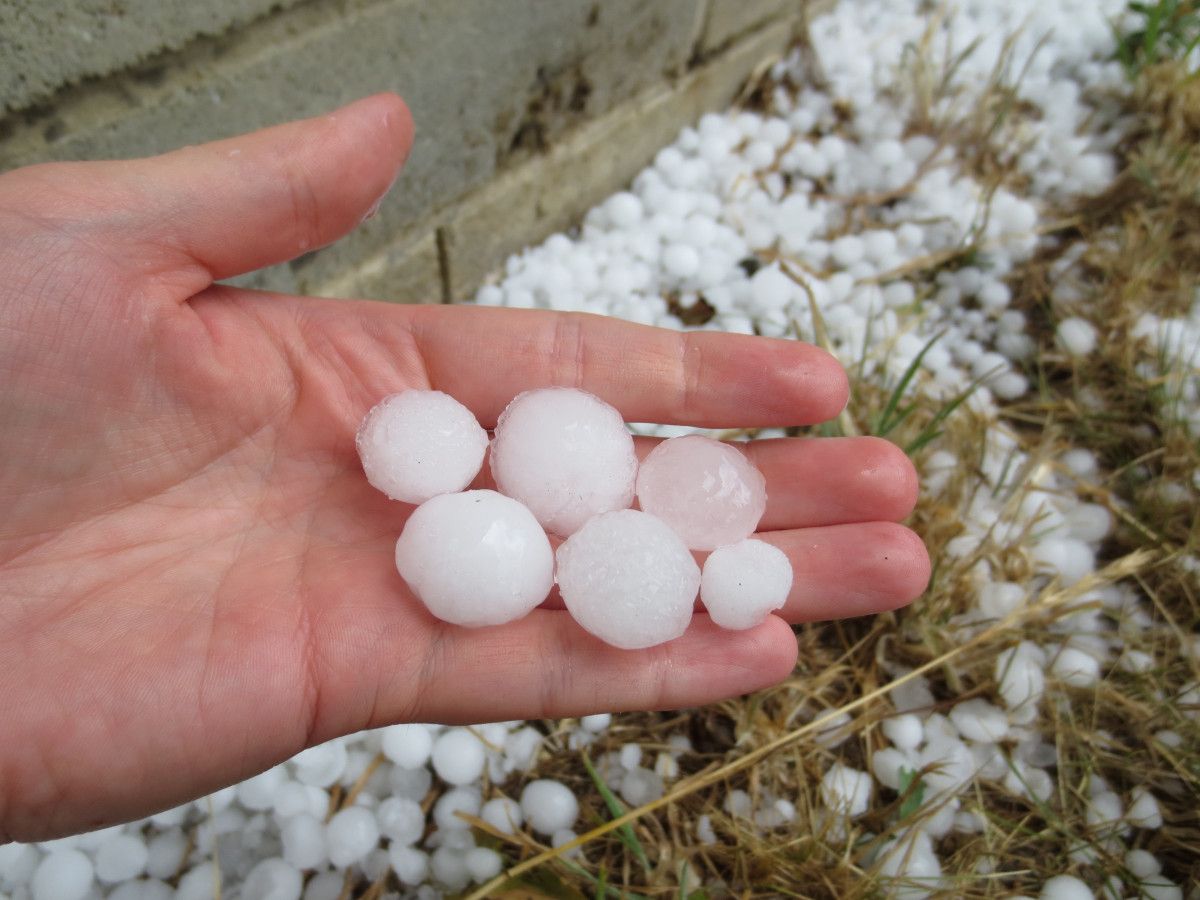 A hand holding several hailstones