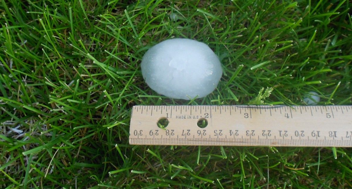 A hailstone on grass next to a ruler